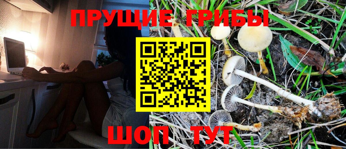 Лянтор  Псилоцибиновые грибы Cubensis  Псилоцибиновые грибы Psilocybe  Вход с VPN 